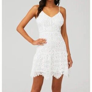 NWT BBDAKOTA Party has Arrived lace dress